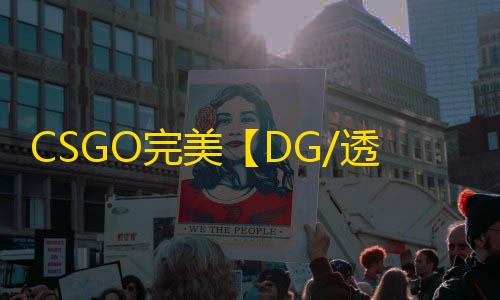 CSGO完美【DG/透饰/梓喵/全功能/只支持完美平台】辅助
